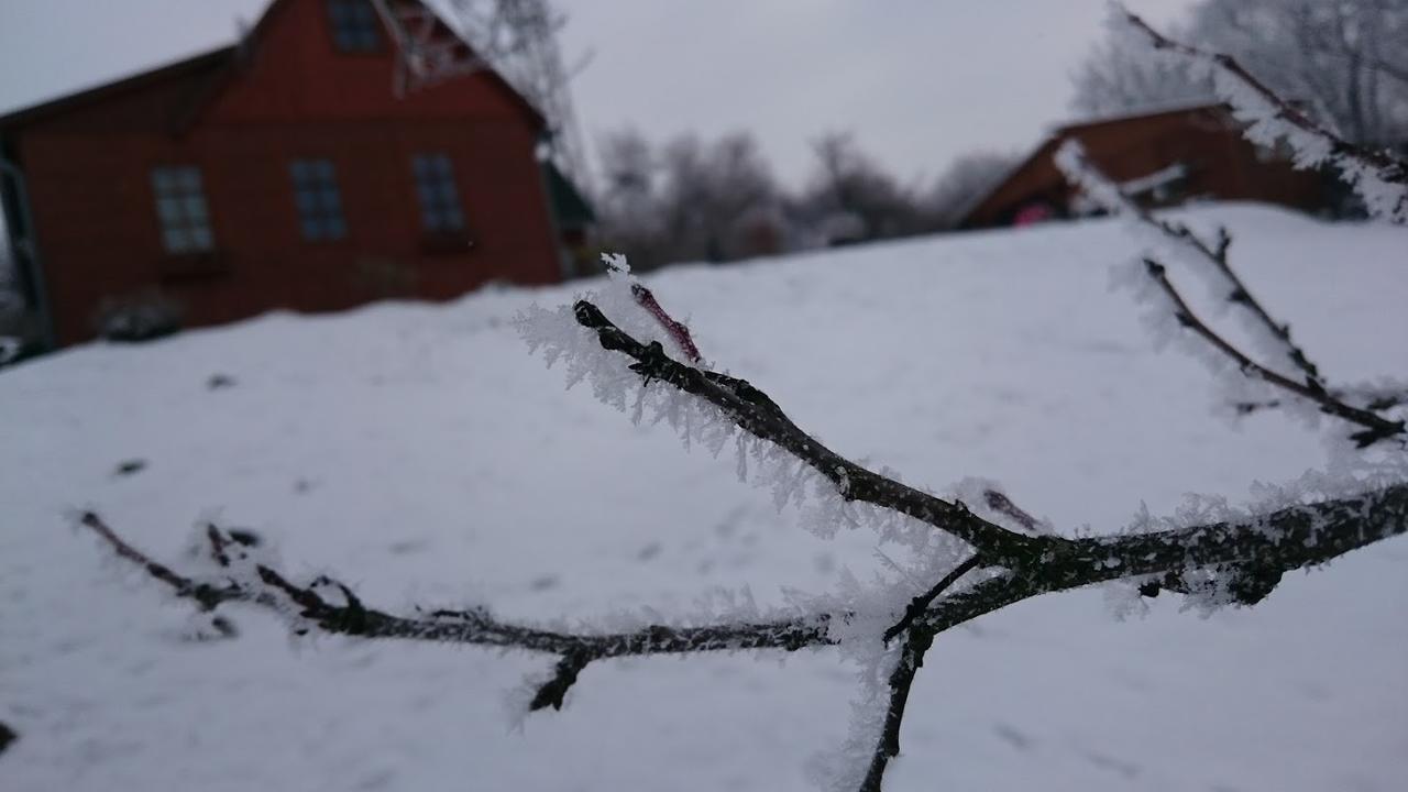 Vila Na vyhlidce Litoměřice Exteriér fotografie