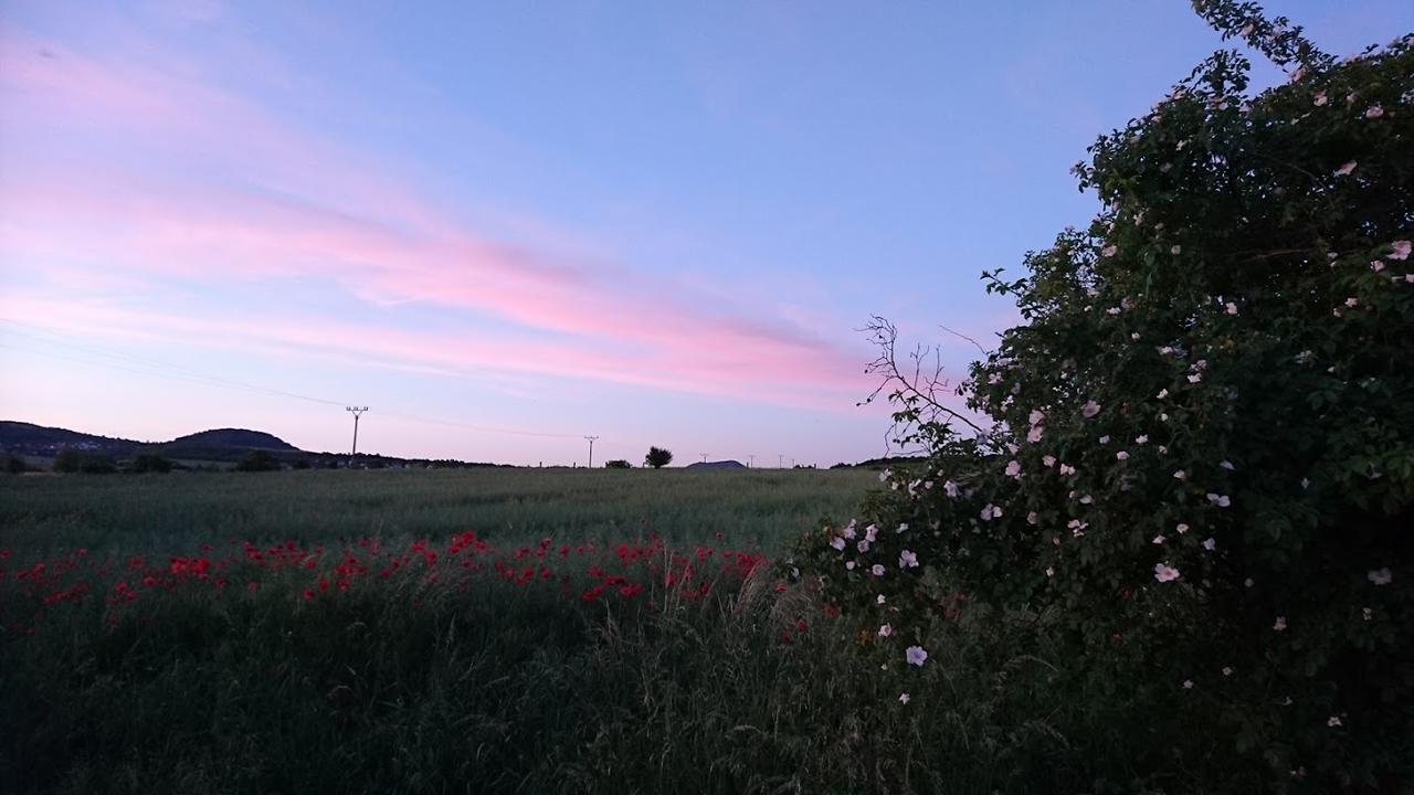 Vila Na vyhlidce Litoměřice Exteriér fotografie